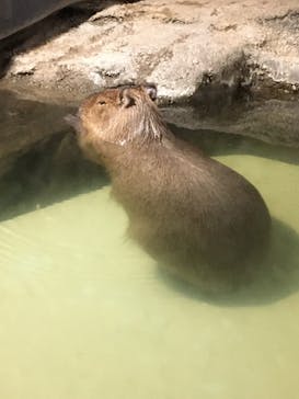 マクセル アクアパーク品川に投稿された画像（2021/2/14）