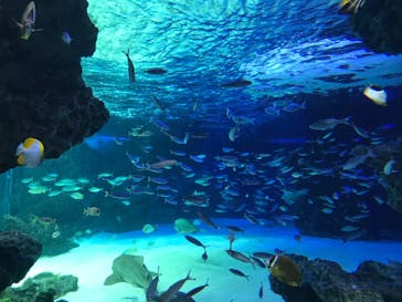 サンシャイン水族館に投稿された画像（2021/2/14）