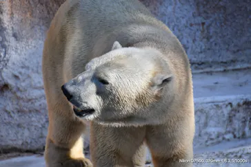 天王寺動物園に投稿された画像（2021/2/14）