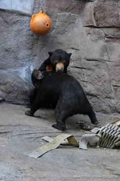 天王寺動物園に投稿された画像（2021/2/14）