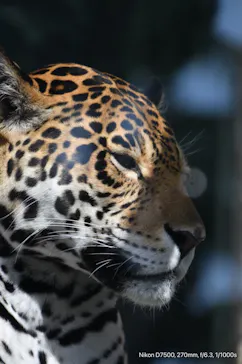 天王寺動物園に投稿された画像（2021/2/14）