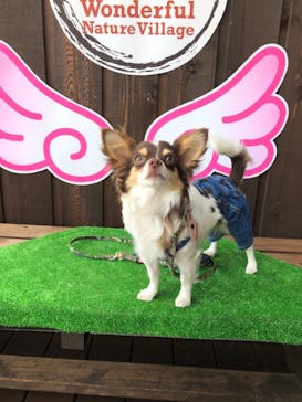わんダフルネイチャーヴィレッジに投稿された画像（2021/2/14）