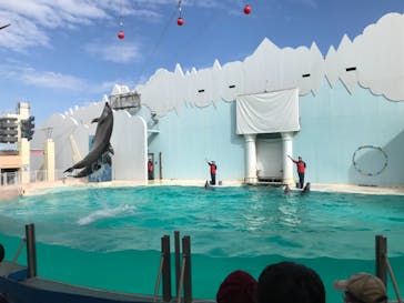 株式会社Gに投稿された画像（2021/2/14）