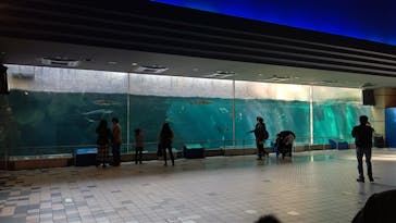 株式会社Gに投稿された画像（2021/2/14）