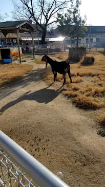 天王寺動物園に投稿された画像（2021/2/14）