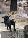 天王寺動物園に投稿された画像（2021/2/14）