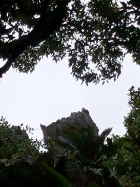 アスムイハイクスに投稿された画像（2021/2/14）