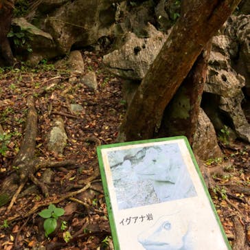 アスムイハイクスに投稿された画像（2021/2/14）