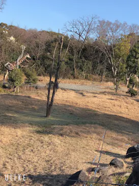 天王寺動物園に投稿された画像（2021/2/14）