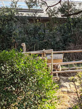 天王寺動物園に投稿された画像（2021/2/14）