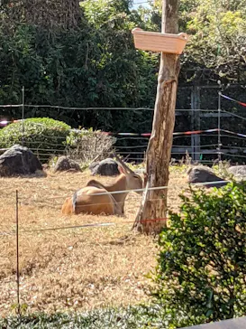天王寺動物園に投稿された画像（2021/2/14）