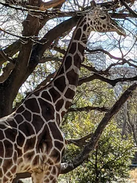 天王寺動物園に投稿された画像（2021/2/14）