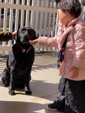 那須どうぶつ王国に投稿された画像（2021/2/14）