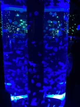 マクセル アクアパーク品川に投稿された画像（2021/2/14）