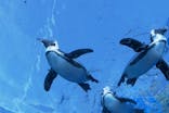 サンシャイン水族館に投稿された画像（2021/2/14）