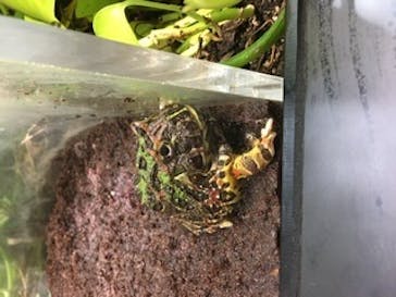 サンシャイン水族館に投稿された画像（2021/2/14）