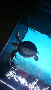 すみだ水族館に投稿された画像（2021/2/14）