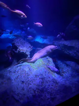 すみだ水族館に投稿された画像（2021/2/14）