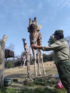 天王寺動物園に投稿された画像（2021/2/14）