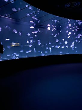 サンシャイン水族館に投稿された画像（2021/2/14）