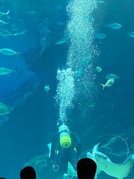 マリンワールド海の中道に投稿された画像（2021/2/14）