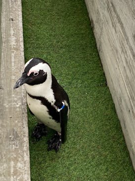 マリンワールド海の中道に投稿された画像（2021/2/14）