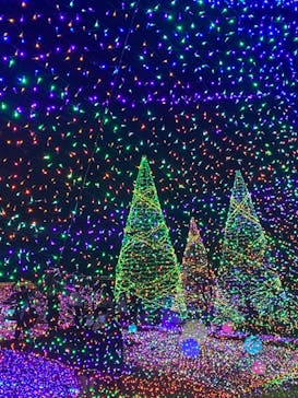 よみうりランド 遊園地に投稿された画像（2021/2/14）