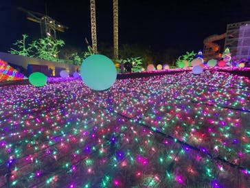 よみうりランド 遊園地に投稿された画像（2021/2/14）