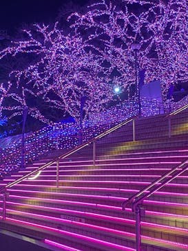 よみうりランド 遊園地に投稿された画像（2021/2/14）