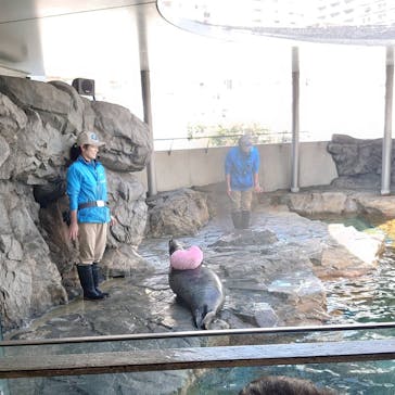 しながわ水族館に投稿された画像（2021/2/14）