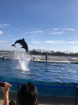 京都水族館に投稿された画像（2021/2/14）