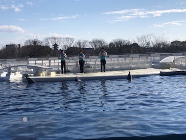 京都水族館に投稿された画像（2021/2/14）