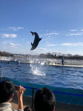 京都水族館に投稿された画像（2021/2/14）