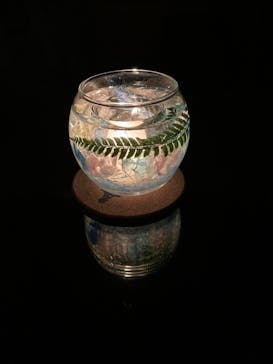 ずこうしつ〜sugamo〜に投稿された画像（2021/2/14）