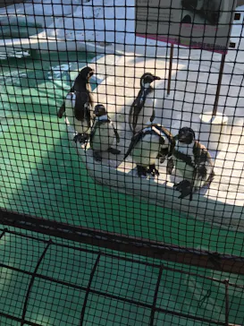 天王寺動物園に投稿された画像（2021/2/14）