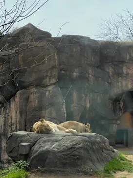 天王寺動物園に投稿された画像（2021/2/14）