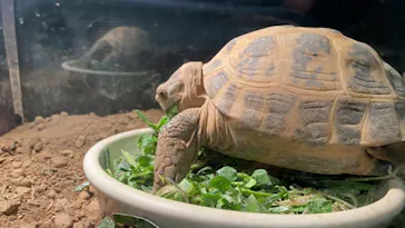 天王寺動物園に投稿された画像（2021/2/14）