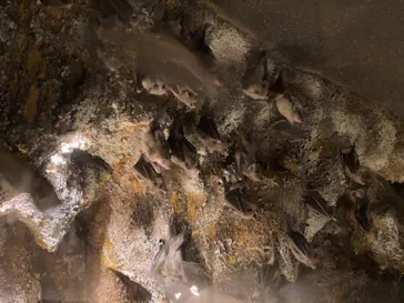 天王寺動物園に投稿された画像（2021/2/14）