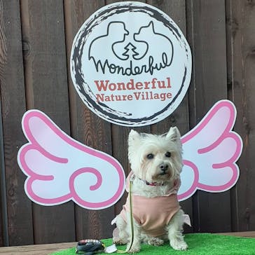 わんダフルネイチャーヴィレッジに投稿された画像（2021/2/14）