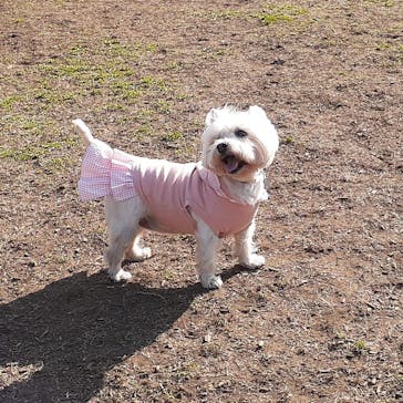 わんダフルネイチャーヴィレッジに投稿された画像（2021/2/14）