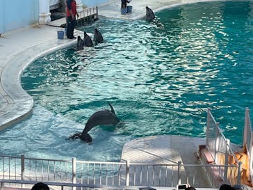 株式会社Gに投稿された画像（2021/2/14）