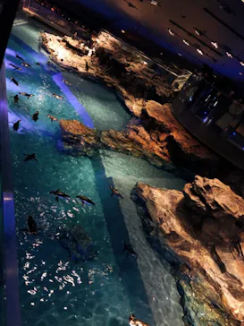 すみだ水族館に投稿された画像（2021/2/14）