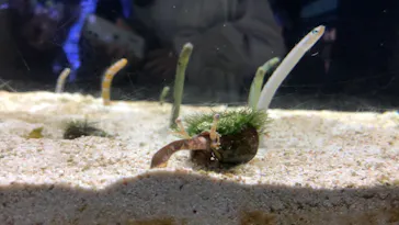 すみだ水族館に投稿された画像（2021/2/14）