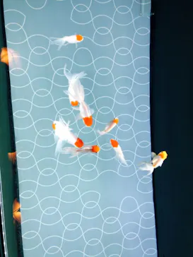 すみだ水族館に投稿された画像（2021/2/14）