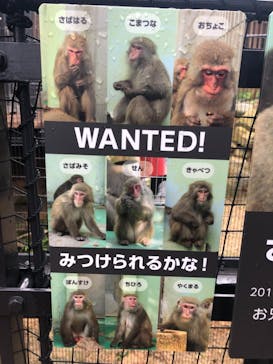 沖縄こどもの国に投稿された画像（2021/2/14）