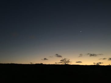 スローダイブ石垣島に投稿された画像（2021/2/14）