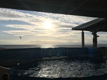 新江ノ島水族館に投稿された画像（2021/2/14）