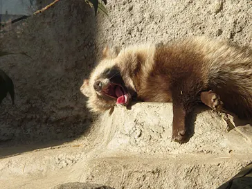 天王寺動物園に投稿された画像（2021/2/14）