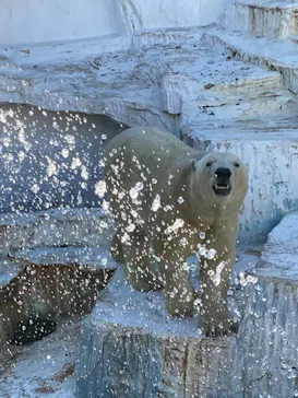 天王寺動物園に投稿された画像（2021/2/14）