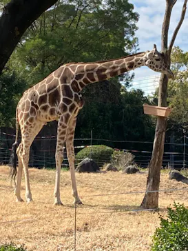 天王寺動物園に投稿された画像（2021/2/14）